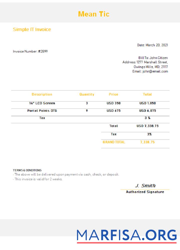 Downloadable USA Mean Tic invoice real example